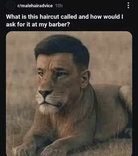 Lion With a Human Haircut
