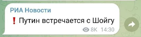 Путин встречается с Шойгу