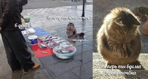 Последние деньги на гришеночку