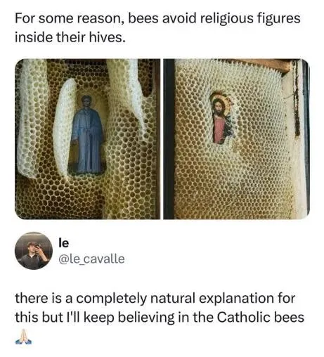Catholic Bees Avoid Holy Figures