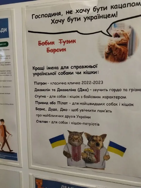 Українські імена для патріотичних улюбленців
