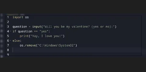 Will You Be My Valentine Code