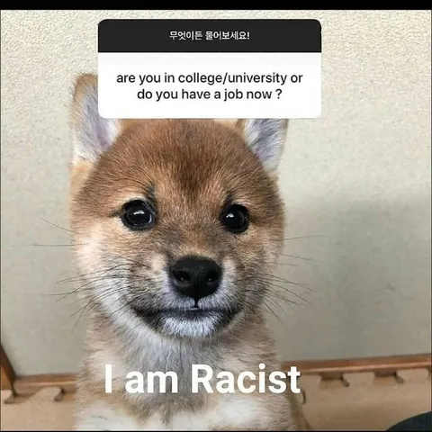 I Am Racist Fox