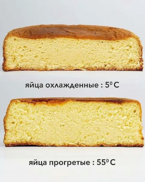 Яйца охлажденные и прогретые
