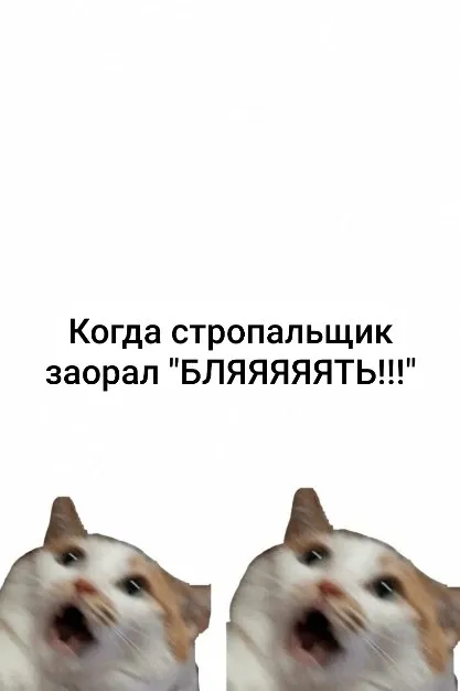 Когда стропальщик заорал