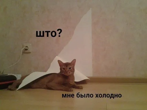 Кот и холодная батарея