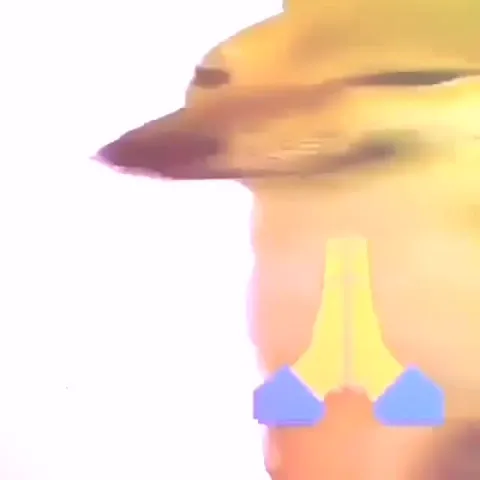 Утка молится