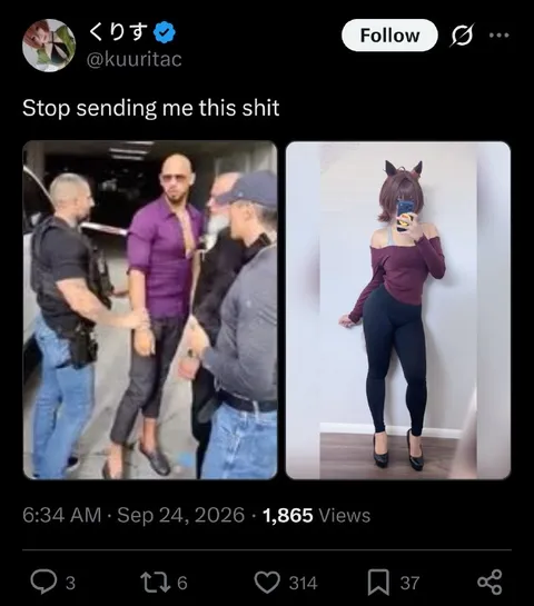 Stop Sending Me This Shit