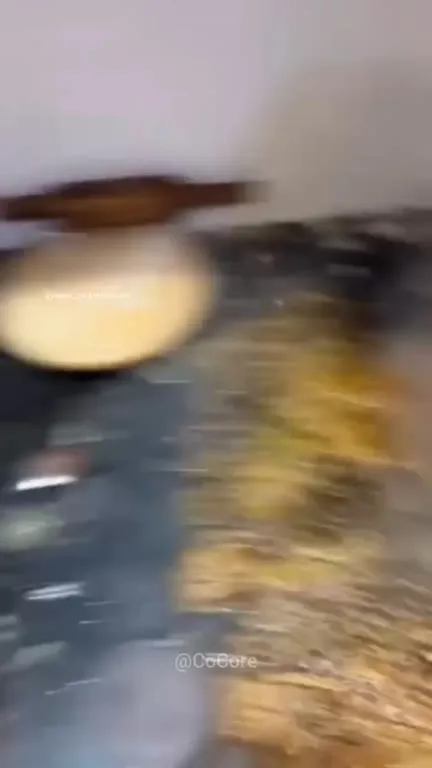 I Just Wanted to Cook Rice