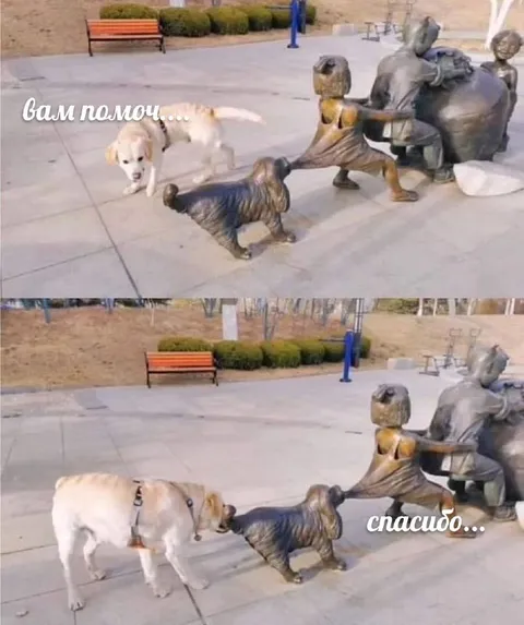 Собака помогает скульптуре