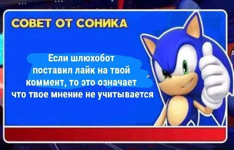 Совет от Соника про шлюхобота