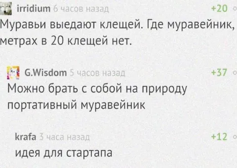 Портативный муравейник для стартапа