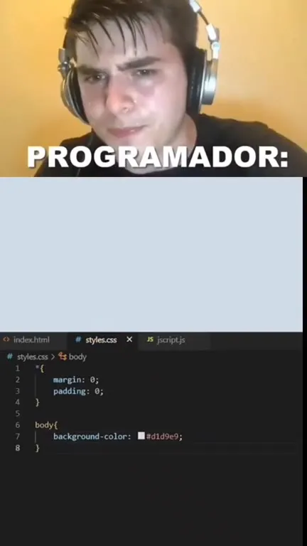 Diseñador gráfico vs programador