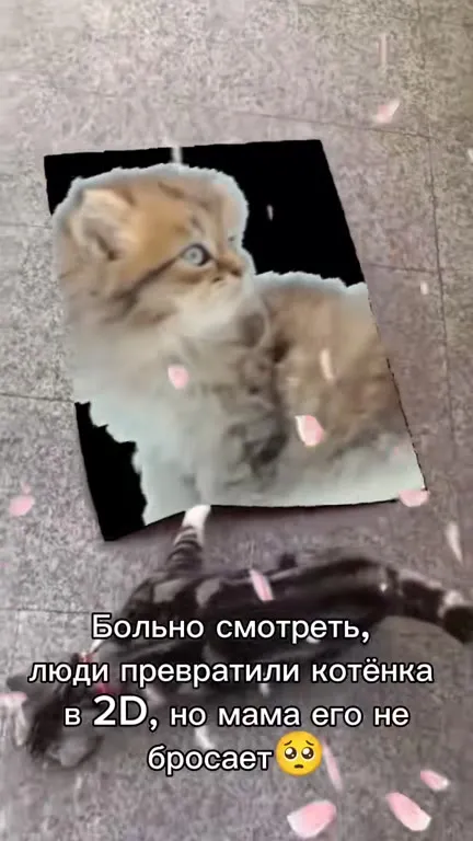 Мама не бросает 2D-котёнка
