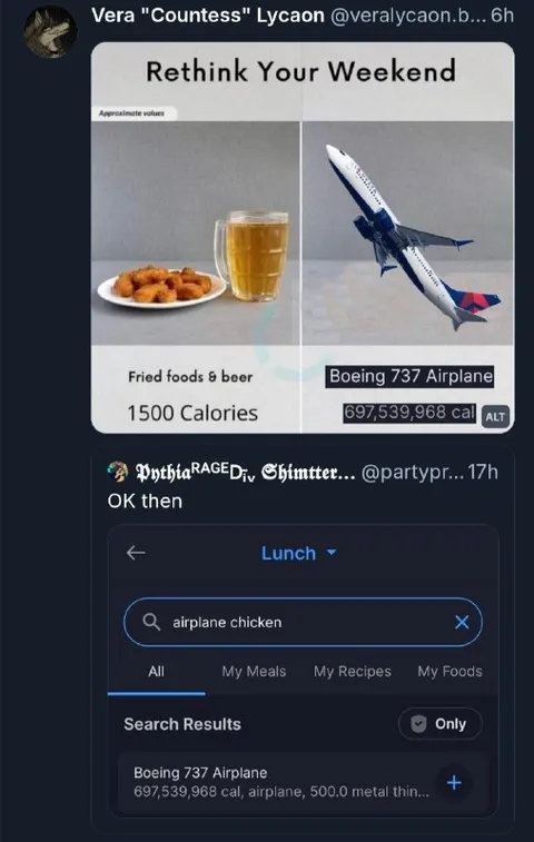 Airplane Chicken Lunch