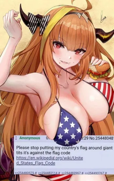 American Flag Bikini Complaint