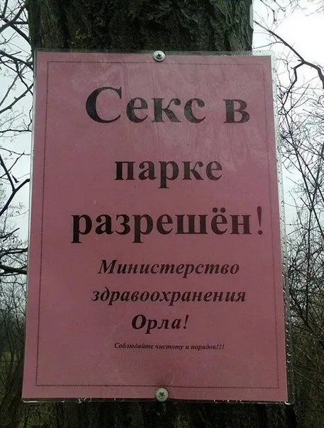 Секс в парке разрешён