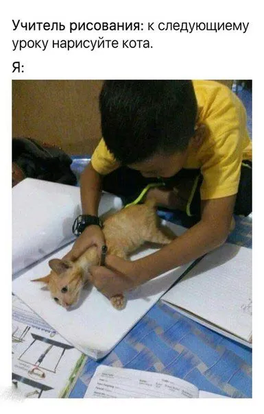 Нарисуйте кота к следующему уроку