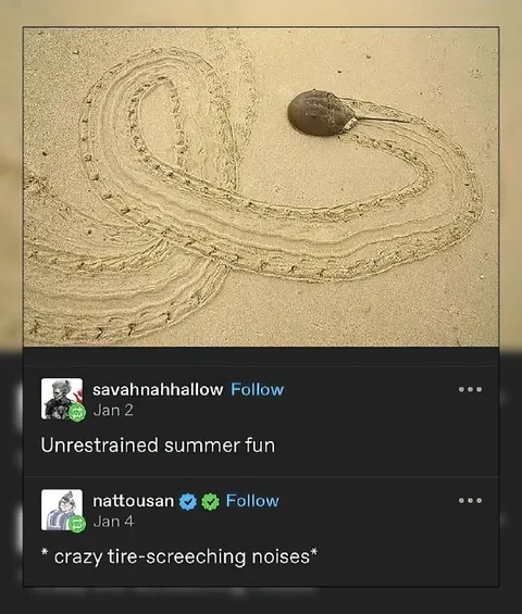 Unrestrained Summer Fun