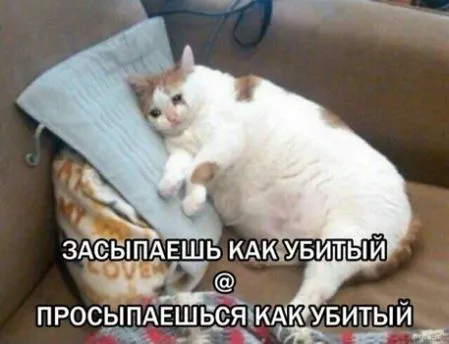Засыпаешь как убитый