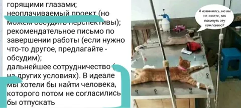 Как покинуть эту компанию