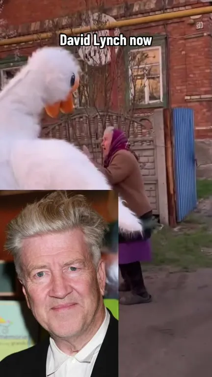 David Lynch Now Goose Attack