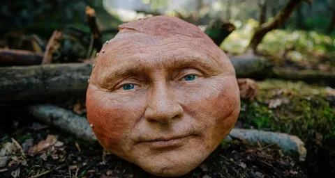 Лицо Путина в лесу