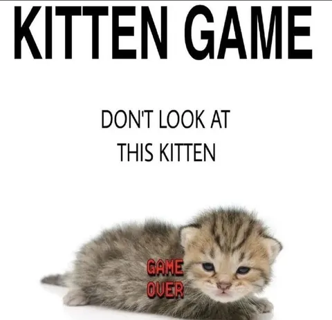 Kitten Game Over Meme