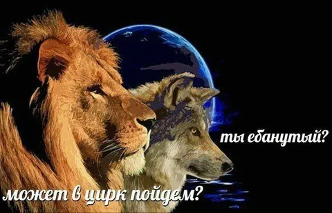 Может в цирк пойдём?
