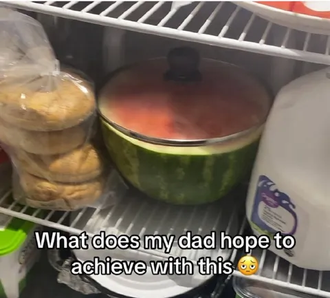 Dad's Watermelon Container