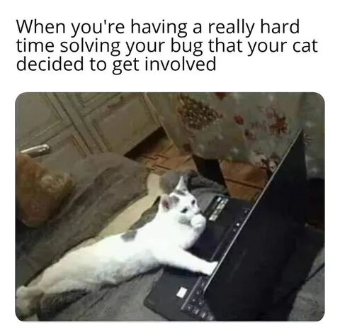 Cat Helps Solve a Bug