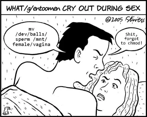 Linux Commands During Sex