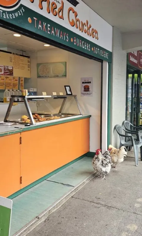 Chickens at the Fried Chicken Shop
