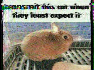 When They Least Expect It