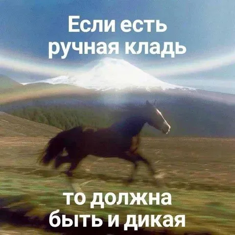 Если есть ручная кладь