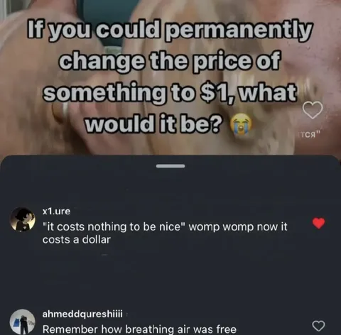 What Would You Make Cost a Dollar?