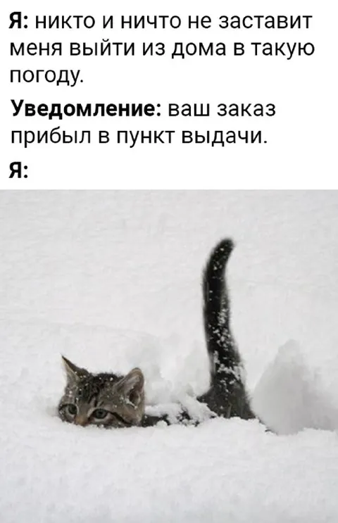 Заказ заставил выйти в снег
