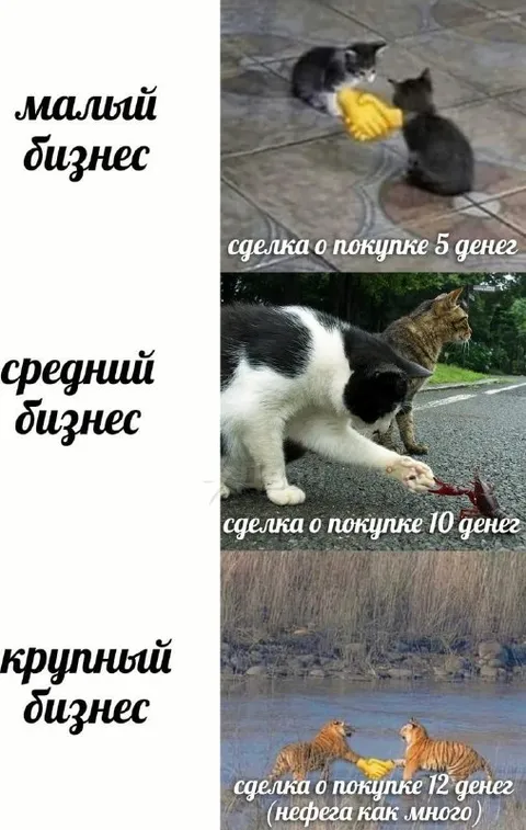 Малый, средний и крупный бизнес