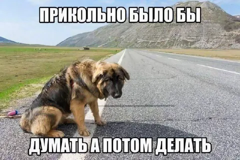 Прикольно было бы думать потом делать