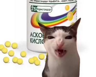 Кот жуёт аскорбинку