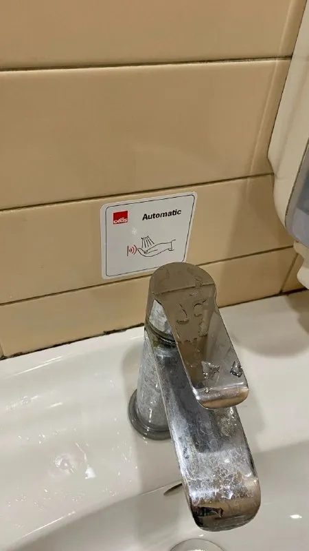 Automatic Faucet Looks Alive