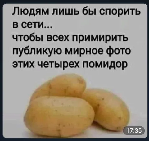 Мирное фото четырех помидор