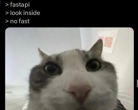 FastAPI No Fast