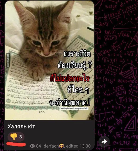 Кот учится на ошибках