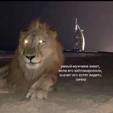 Когда тебя заблокировали
