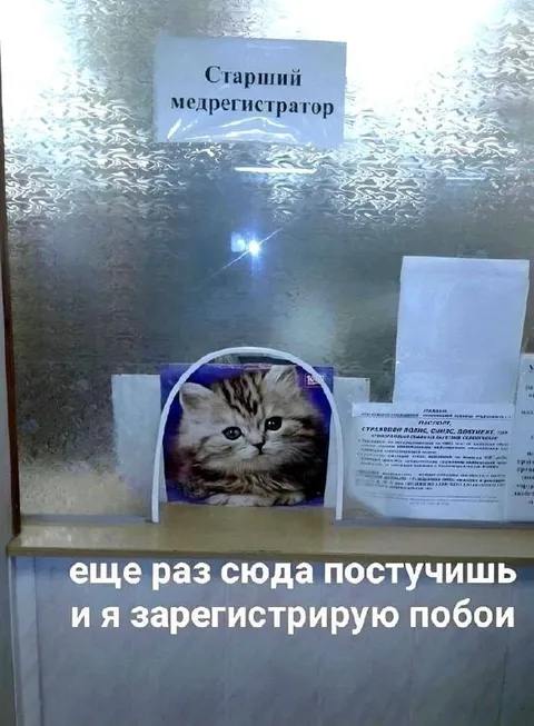 Старший медрегистратор с котом