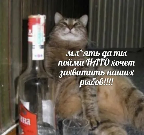 НАТО хочет захватить наших рыбов