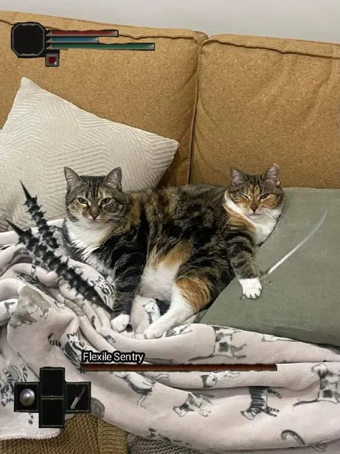Flexile Sentry Cat Duo