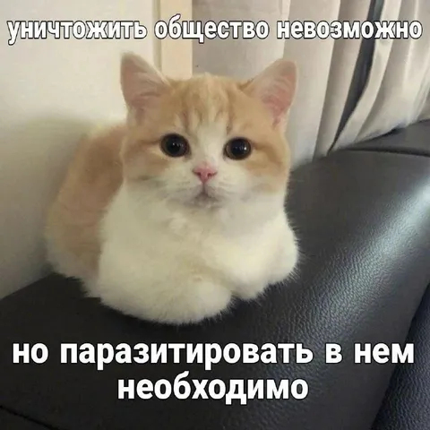 Паразитировать в обществе