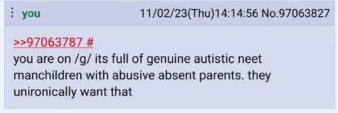 Autistic Neet Manchildren on 4chan